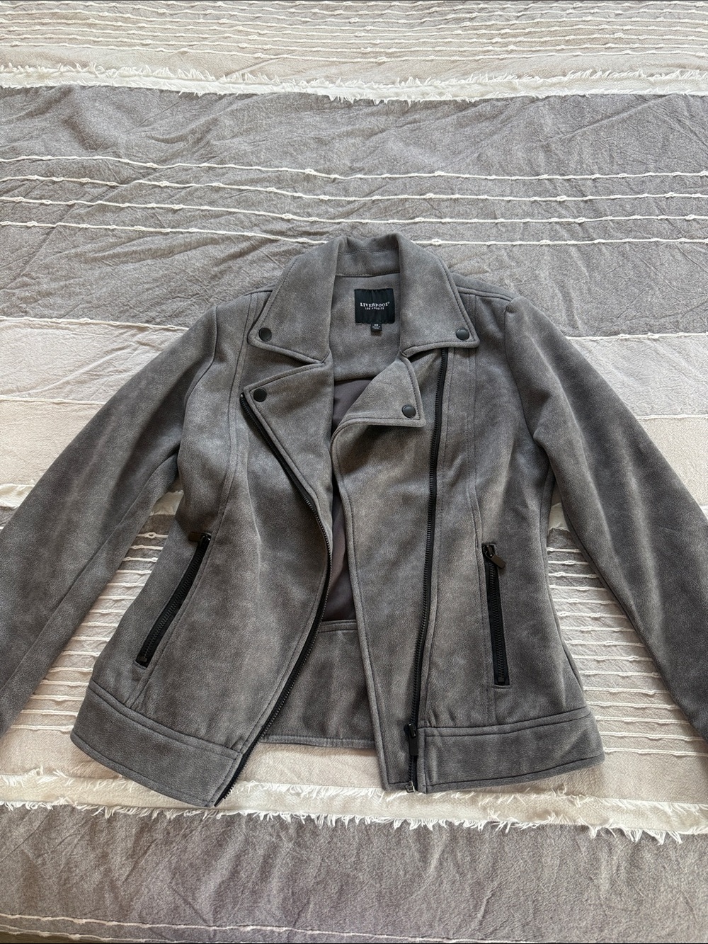 Liverpool Gray Suede Moto Jacket